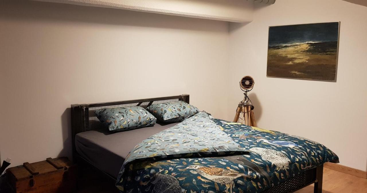 Loft Hiellego Apartment Zyrardow Bagian luar foto