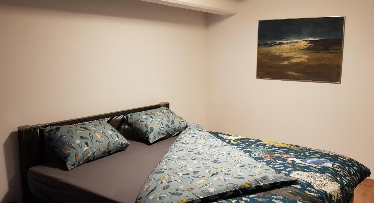 Loft Hiellego Apartment Zyrardow Bagian luar foto